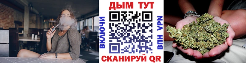 цена   Лесозаводск  Канабис ГИДРОПОН 